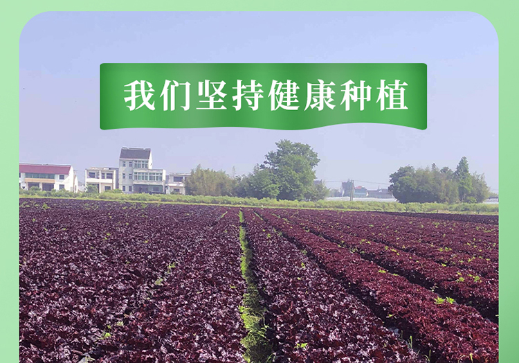 未标题-3_08.jpg